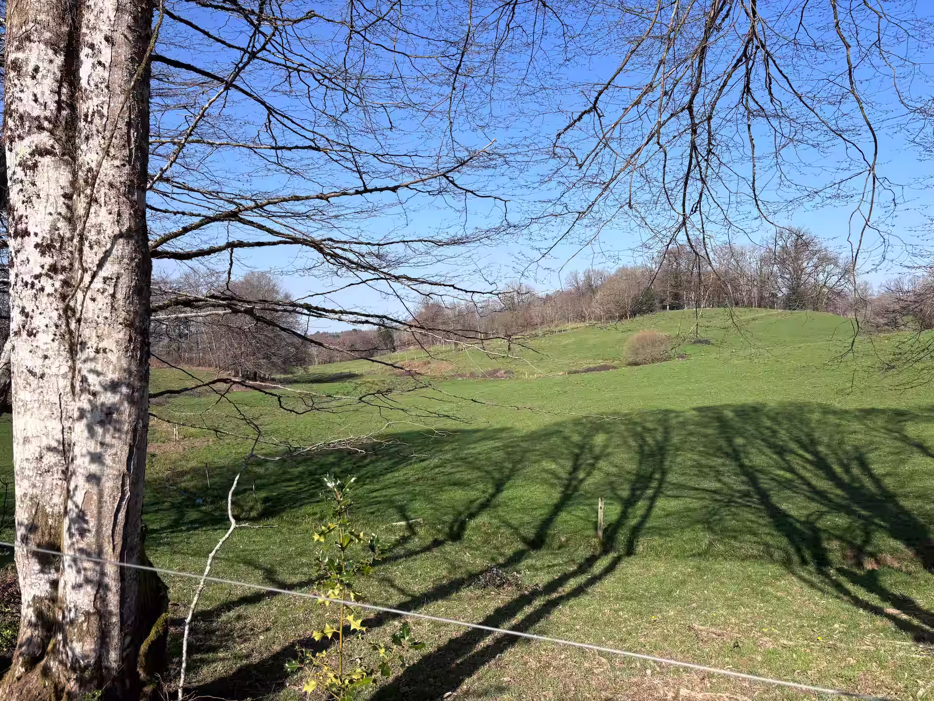 Campagne verdoyante de Saint-Clément